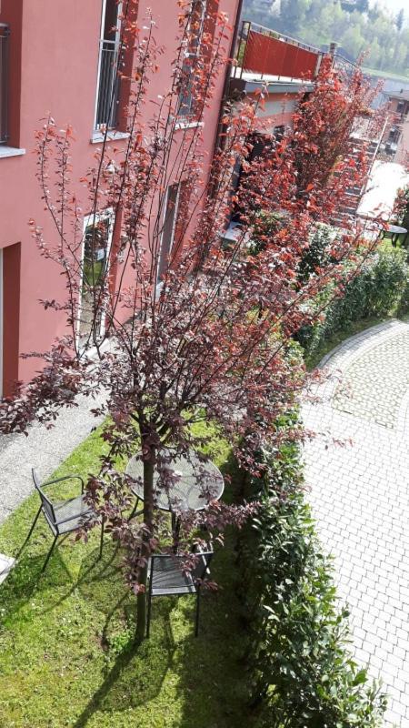 Residenza XX Settembre Appartement Maslianico Buitenkant foto